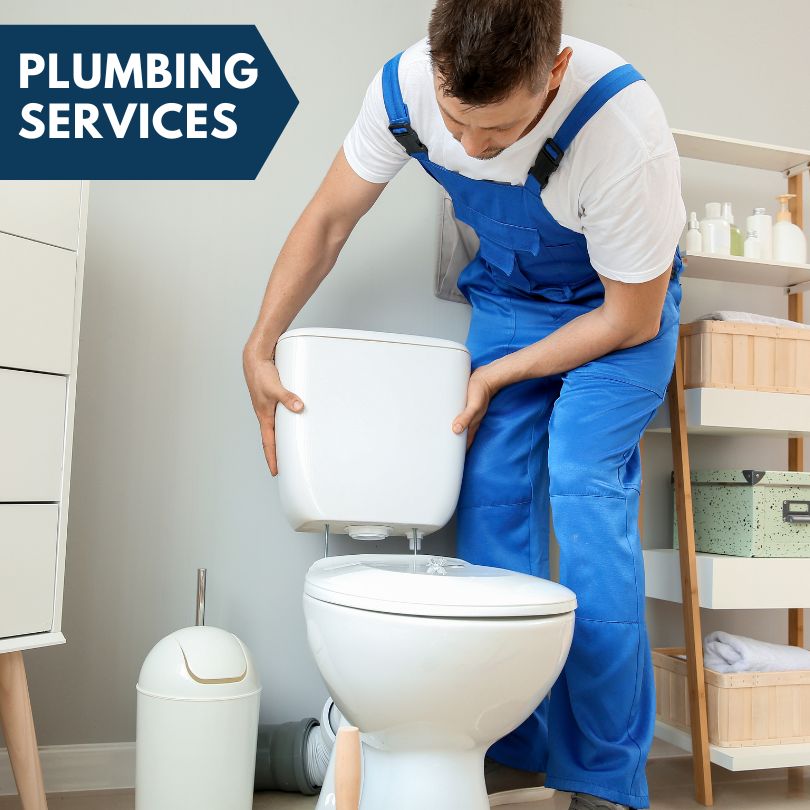 Plumbing Company in Ullin, IL